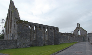 Abbey Ruins Nenagh